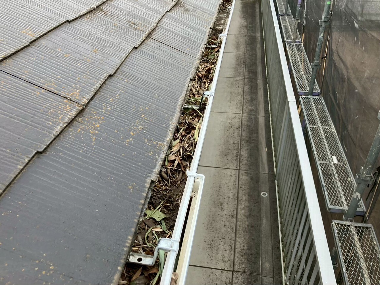 雨樋内部の枯葉詰まり